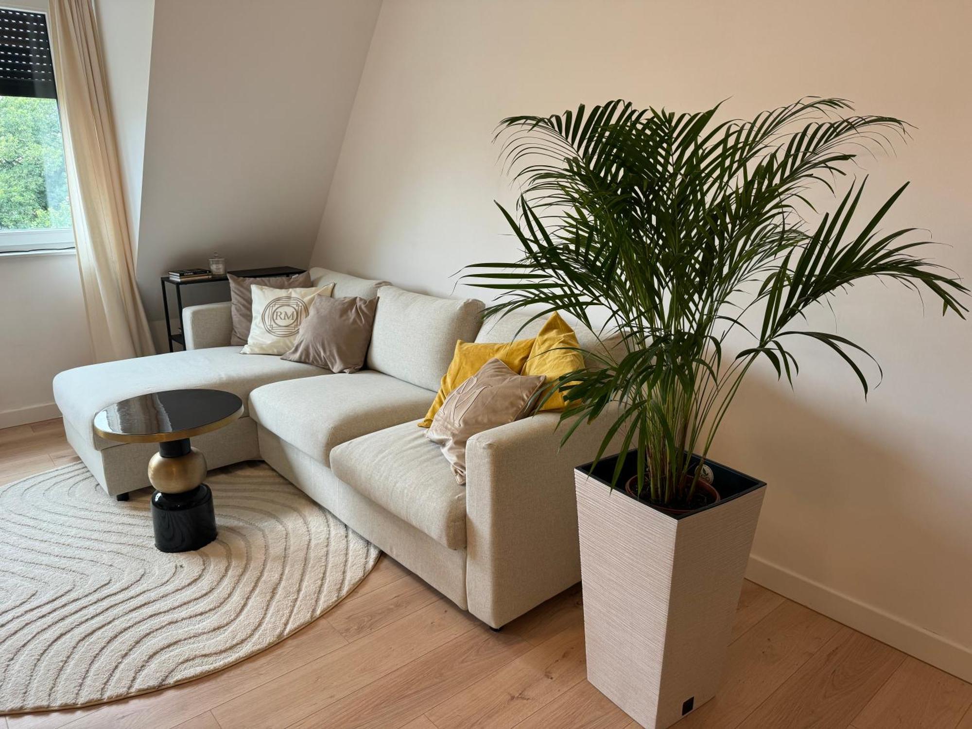 Moon Apartment Stary Toruń Eksteriør billede